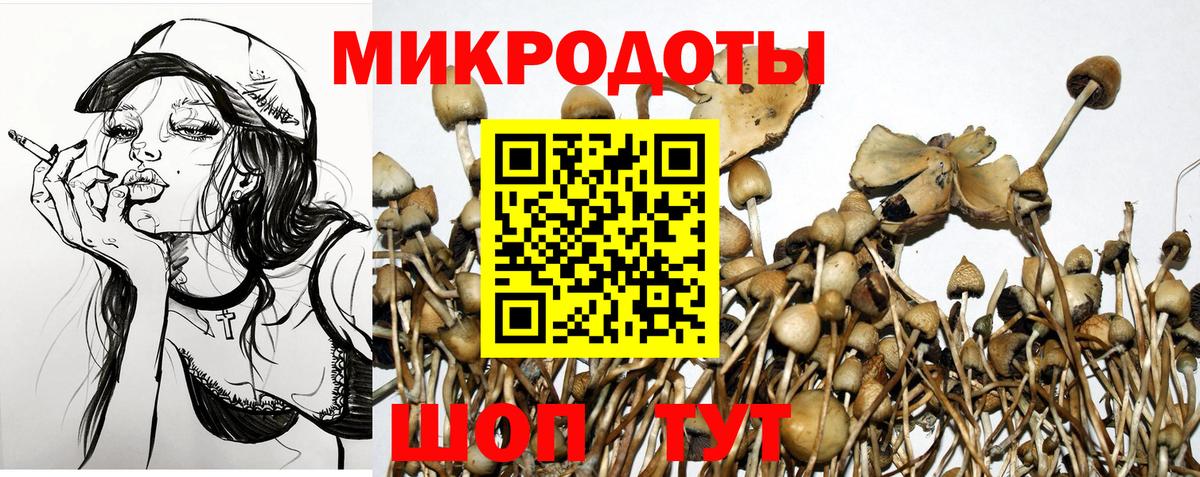 Когалым  Псилоцибиновые грибы ЛСД  Вход с VPN  Галлюциногенные грибы ЛСД 