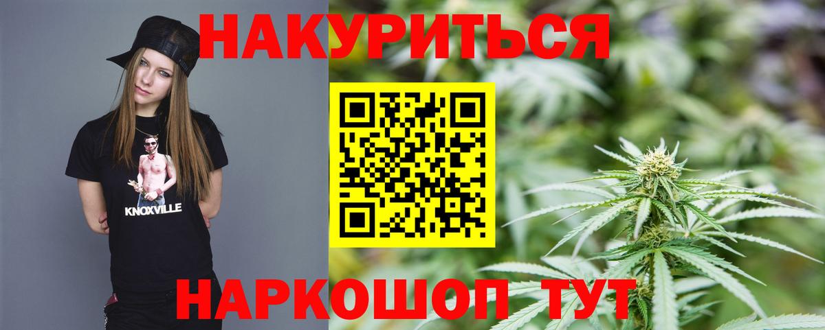 Конопля гибрид Когалым